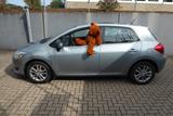 Toyota Auris Life 1.Hand original 77.200 km - Toyota Gebrauchtwagen in Siegen