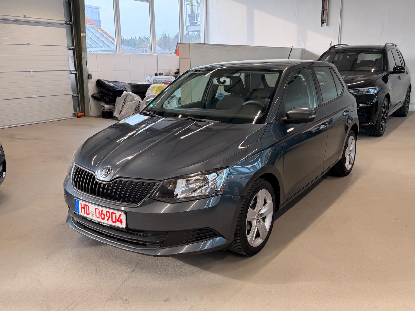 Skoda Fabia Cool Edition 1.2 TSI-PDC-Allwetter-Tüv28