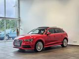 Audi A3 Sportback e-tron Leder Navi LED Pano B&O 18'' - Audi A3: Rot, Leder