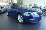 Skoda Octavia Drive/Business Columbus/Schiebedach/ACC - Skoda Octavia: Business