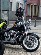 Harley-Davidson Softail Springer FLSTS - HARLEY-DAVIDSON SPRINGER SOFTAIL