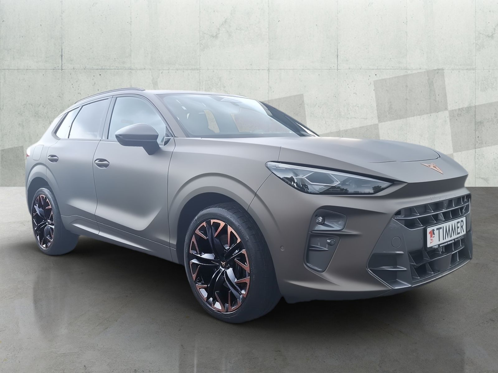 Cupra Terramar - Bild 2