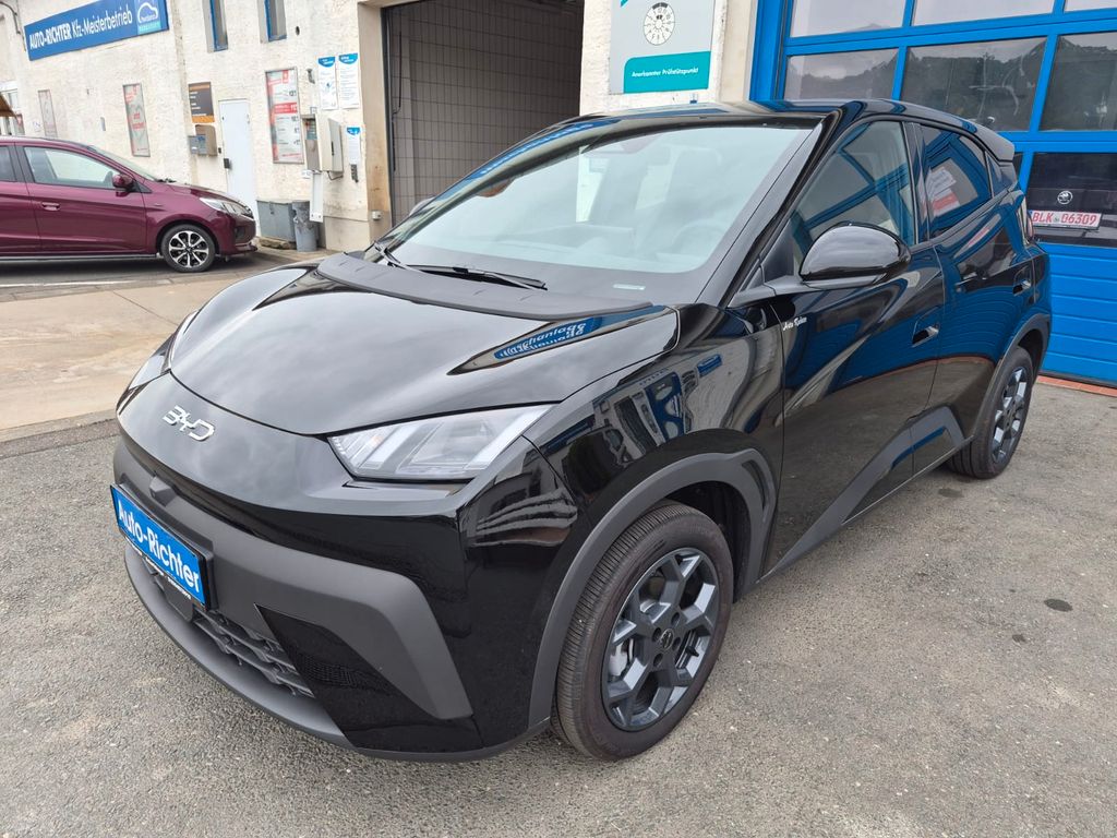 Image of BYD DOLPHIN