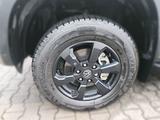 Volkswagen Amarok DoubleCab 3.0 TDI PanAmericana Standheizu - Volkswagen Amarok Gebrauchtwagen