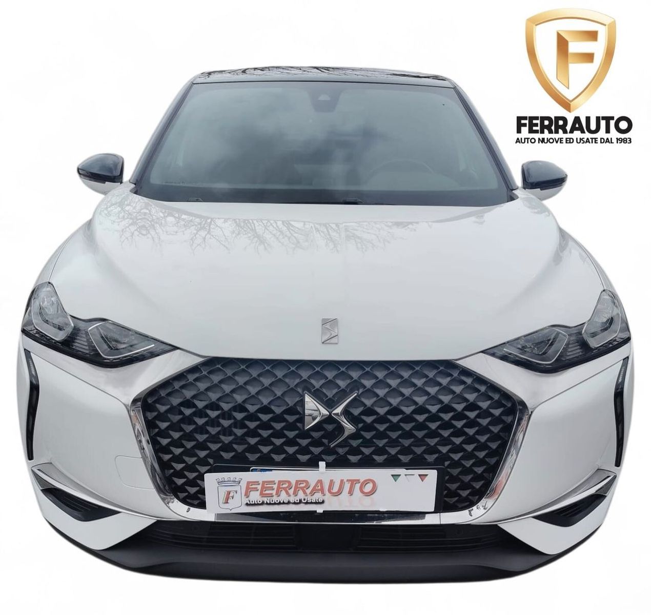 DS DS3