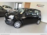 Fiat FIAT Panda 1.2 Waze - Fiat Panda: Waze