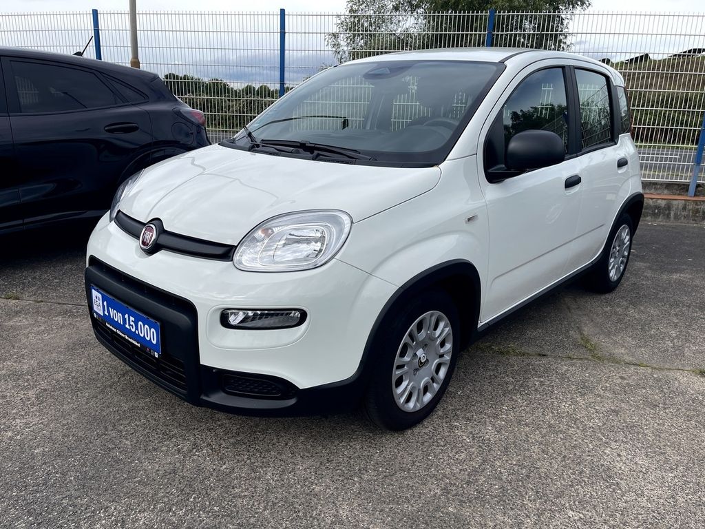 Image of Fiat Panda