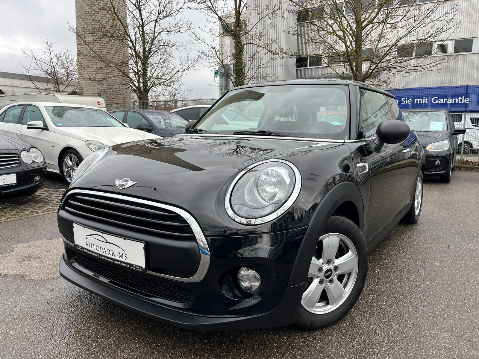 MINI One Salt PDC-SHZ-Inspektion Neu-8fach Bereift