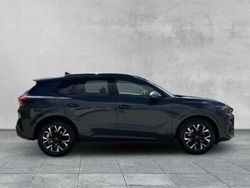 Cupra Terramar - 6