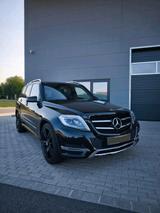 Mercedes-Benz Mercedes GLK 220CDI 4MATIC - mit Diesel-Antrieb: Mercedes Glk