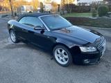 Audi A5 2.7 TDI (DPF) multitronic Cabriolet - - Audi A5 mit Diesel-Antrieb: 2.7
