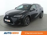 Lexus UX-Serie UX 300h F Sport Design Aut.*NAVI*ACC* - Lexus UX in Hannover