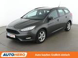 Ford Focus 1.0 EcoBoost Business*NAVI*PDC*KLIMA*TEMPO - Ford Focus Gebrauchtwagen in Köln