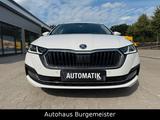 Skoda Octavia 2.0 TDI DSG *Headup*Auto*Mem*Kamera*AHK* - Skoda Octavia: Winterreifen