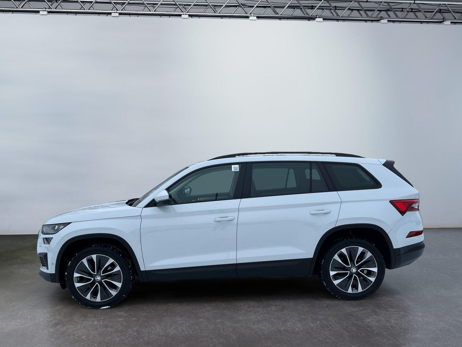 Skoda Kodiaq Tour 2.0 TDI DSG Matrix-LED Rückfahrkamer