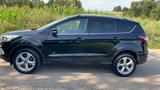 Ford Kuga 2,0 TDCi 4x4 179PS Titanium PowerShift 18Zo - Ford Kuga Gebrauchtwagen in Freiburg