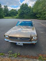 Ford Mustang - Ford Mustang Gebrauchtwagen in Bielefeld