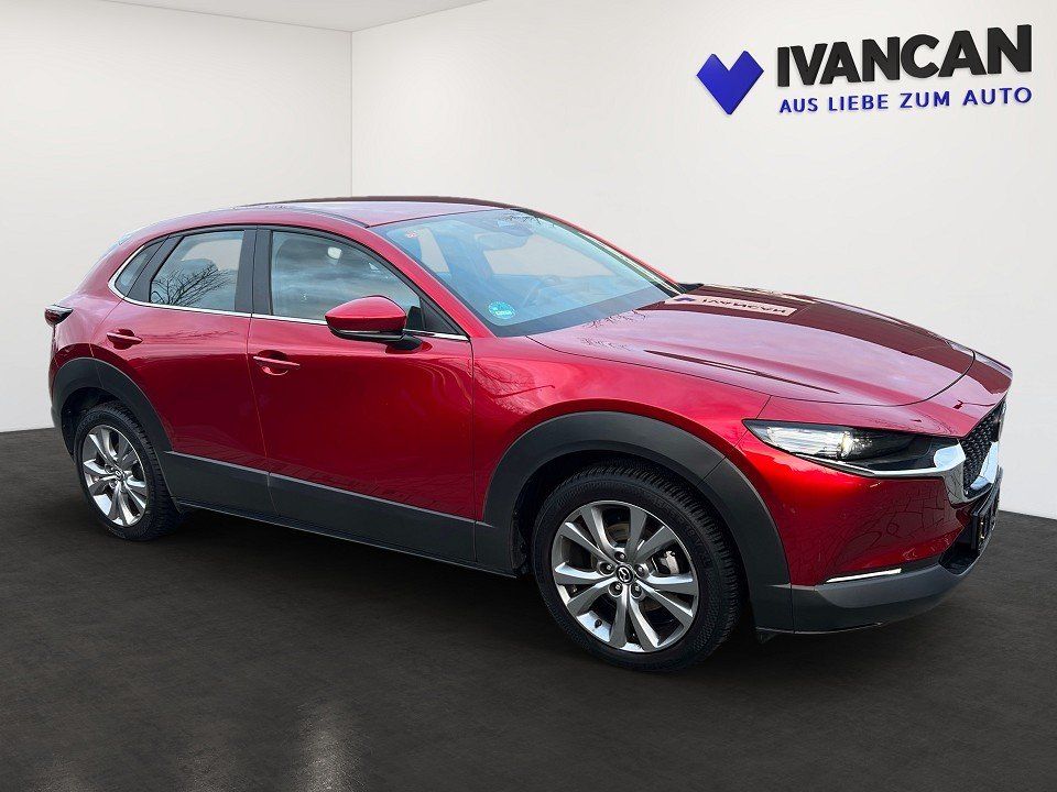 Fahrzeugabbildung Mazda CX-30 X 2.0i 186PS AWD Exclusive DASO