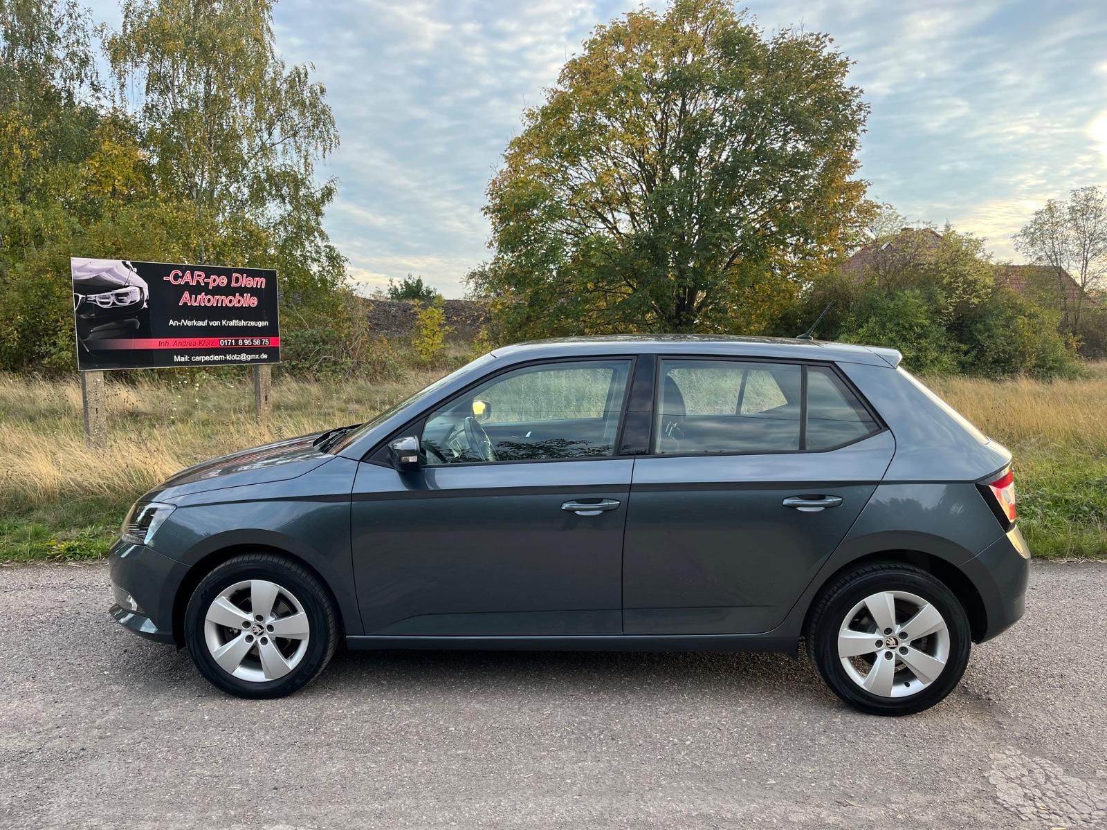 Skoda Fabia Style/Klima/PDC