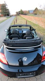 Volkswagen Beetle 1.2 TSI BMT CLUB Cabriolet CLUB - : Cabrio, Club