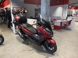 Honda Forza 125 *Service und Reifen neu* - HONDA ROLLER 125