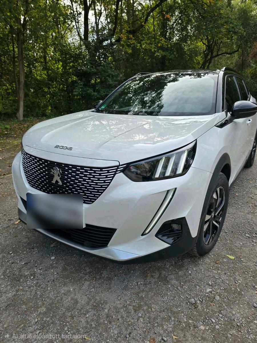 Peugeot e-2008
