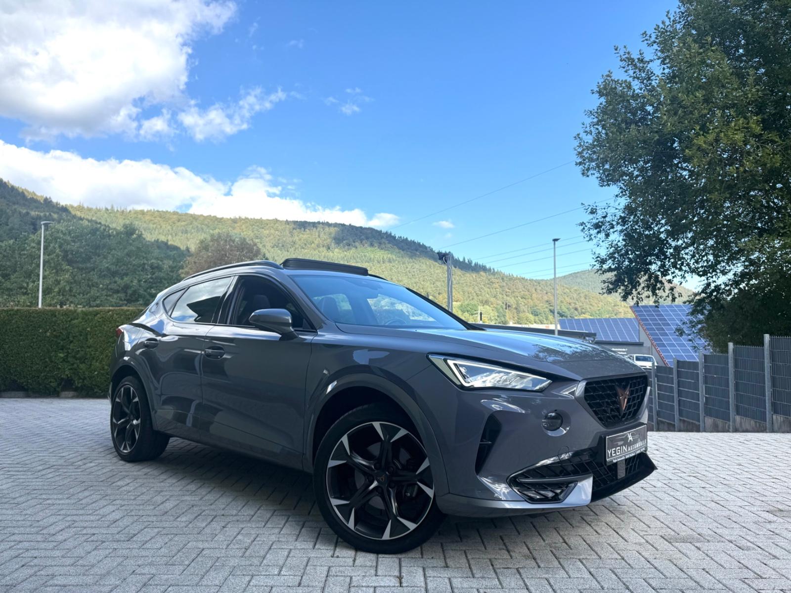 Cupra Formentor 2.0 TDI 4Drive Virtual-ACC-LED-Pano