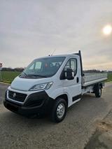 Fiat Ducato Pritsche TÜV 02/28 - Fiat Ducato mit Diesel-Antrieb: 2.0