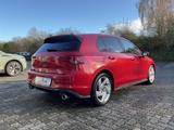 Volkswagen Golf VIII GTI 2.0 TSI DSG PDC Navi ACC Sitzhzg L - Volkswagen Golf: Viii