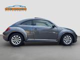 Volkswagen Beetle 1.2 TSI - 105 PS * Design * - mit Benzin-Antrieb: Coupe, Sitzheizung