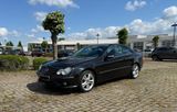 Mercedes-Benz CLK 200 / 8-fach bereift  / AppleCarplay / AMG  - Mercedes-Benz CLK 200: AMG