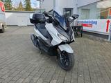 Honda FORZA 350 NSS350 + 6 Jahre Garantie - NEU - 0KM - Offers