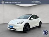 Tesla Model Y Performance Dual Motor AWD - Tesla Model Y in Stuttgart
