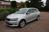 Skoda Fabia Combi 1.2 TSI Joy *Navi,Klimatr,Sitzhzg* - Skoda Gebrauchtwagen in Lüneburg