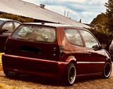 Volkswagen Polo 6n1 GTI 1,6 für Liebhaber Tüv Neu Ins... - Volkswagen Polo mit Benzin-Antrieb: 6n GTI
