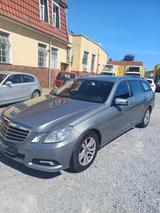 Mercedes-Benz E 250 E T-Modell E 250 CDI BlueEfficiency - Mercedes-Benz E-Klasse aus 2009: T Modell