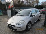 Fiat Punto 1.3 Pop - Fiat Punto in Essen