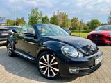 Volkswagen Beetle Cabriolet Exclusive Sport*DSG*Leder*Navi* - Volkswagen Beetle: Cabrio