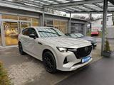 Mazda CX-60 M-Hybrid Homura 254PS - Pano, Allrad, Bose - Mazda CX-60 mit Diesel-Antrieb: Automatik