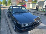 BMW 316 Baur Cabrio gepflegt Rostfrei alles original - BMW 3er Reihe: Alle
