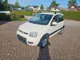 Fiat Panda 1.2 8V Climbing  4X4 - Fiat Panda: Allradantrieb, Climbing