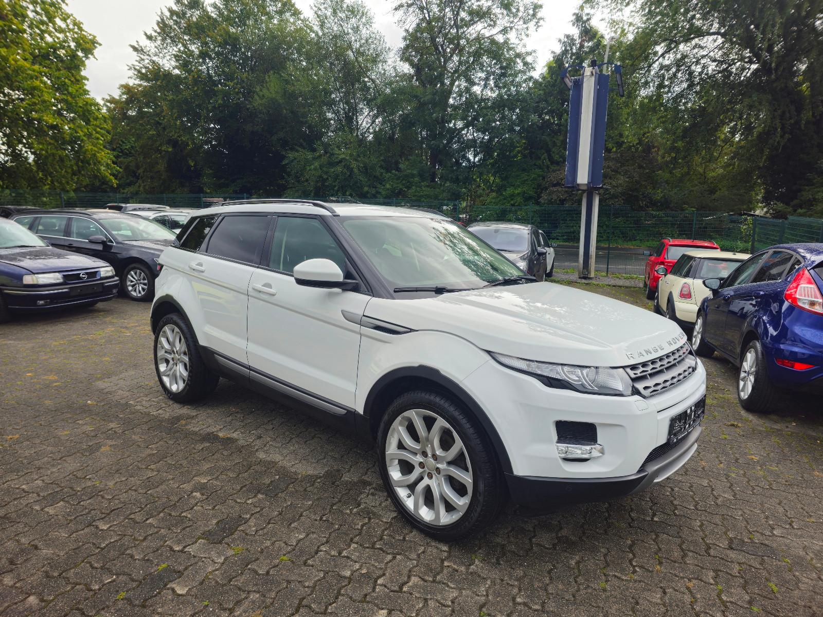 Land Rover Range Rover Evoque Pure 19"Alu*Navi*Xenon