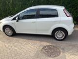 Fiat Punto 1.4 8V Start&Stopp Dynamic Dynamic - Fiat Punto Start mit Benzin-Antrieb