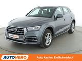 Audi Q5 40 TDI quattro Design Aut.*NAVI*BI-XENON*ACC* - Audi Q5 40 Gebrauchtwagen