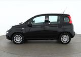 Fiat New Panda Pandina 1.0 mHEV App Connect PDC klima - Fiat New Panda Benziner Gebrauchtwagen