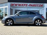 Volkswagen Beetle Design Bi Xenon Temp. - graue Volkswagen Beetle