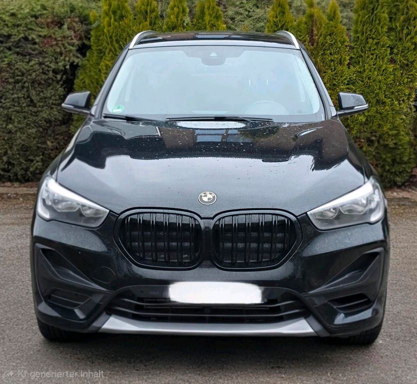 Image of BMW X1