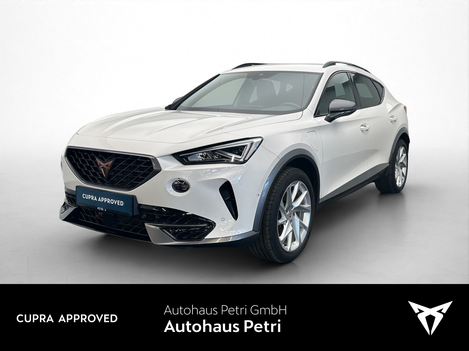 Cupra Formentor 1.4 TSI e-HYBRID*NAVI*AHK*SHZ*ACC*PDC*