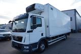 MAN TGL 12.180 Kühlkoffer Carrier D/Strom Blumen - MAN Tgl 12 180