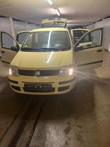 Fiat Panda - TUV bis Ende 05.2028! - Fiat Panda Gebrauchtwagen in Wuppertal
